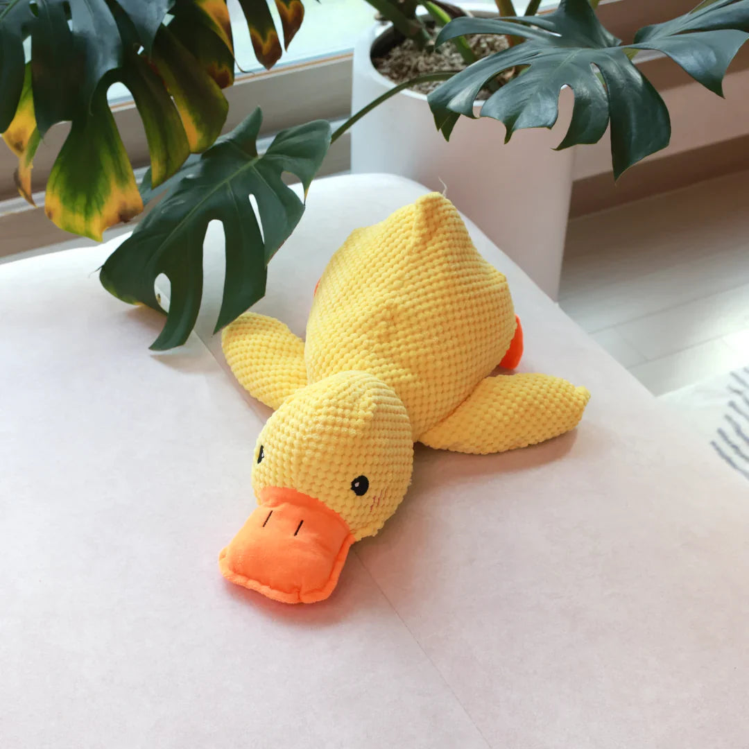 Calming Duck