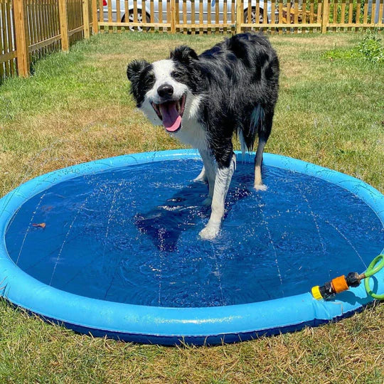 Pet Fountain Pad