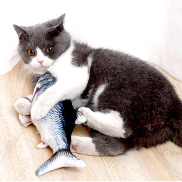 Dancing Fish Cat Toy