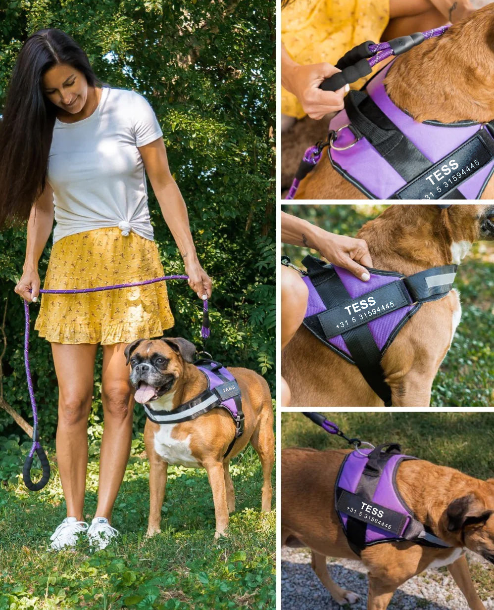 Personalized No-Pull Dog Harness